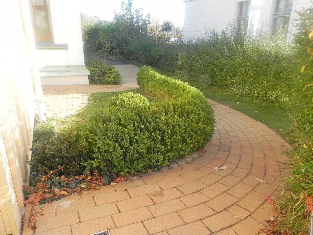 Villa Bella Behindertenfreundliche Heringsdorf  Rom bilde